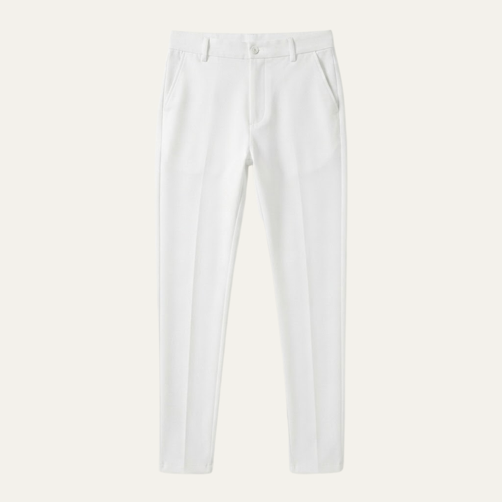 The Bardolino Men’s Slim Fit Casual Business Dress Pants