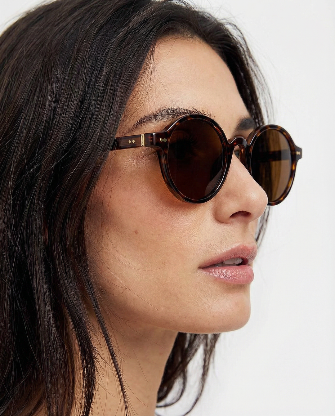 The Santa Cruz Shades
